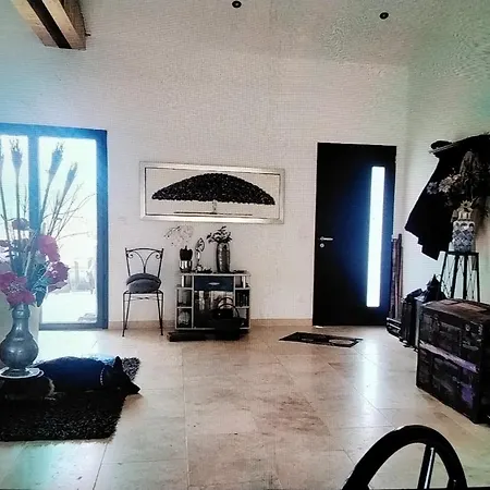 Viviloue * 圣皮尔拉菲